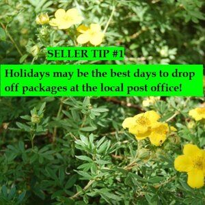 From one seller to another - - SELLER TIP #1